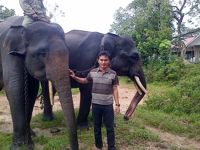 Foto Bersama Gajah