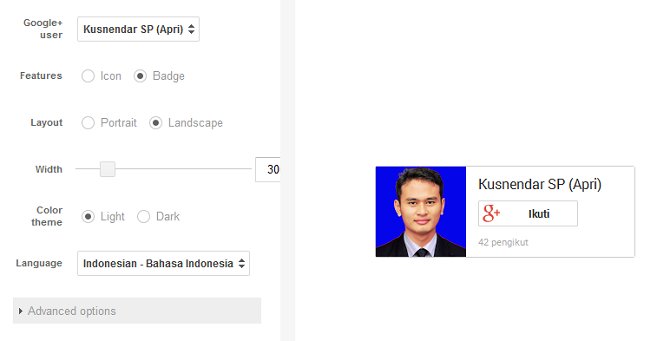 Badge Profil Google Plus Widget