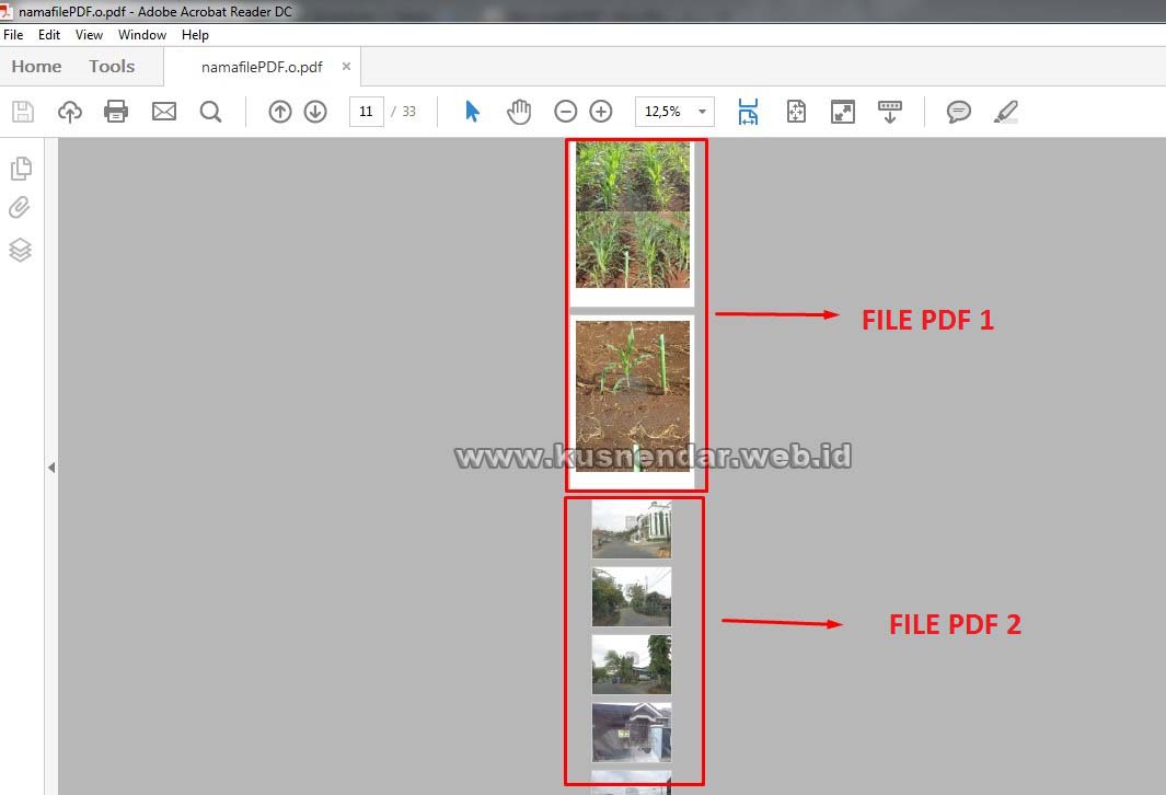 Menggabungkan File PDF