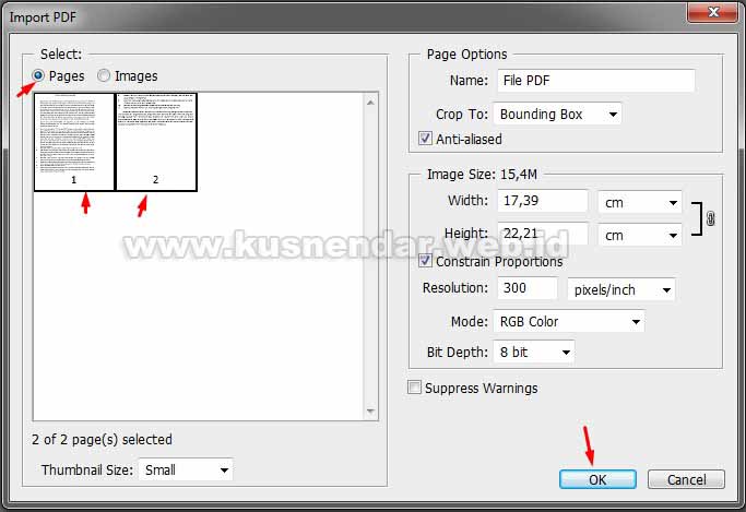 Import File PDF ke Photoshop
