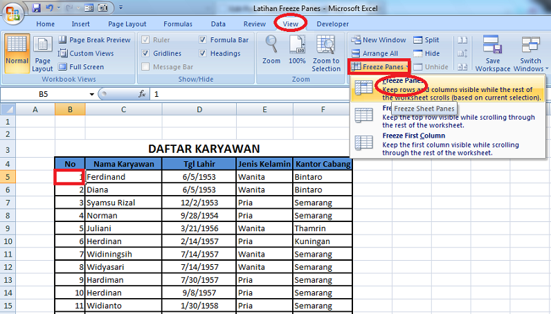 Menggunakan Freeze Panes