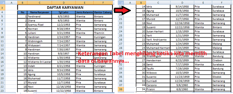 contoh data di excel