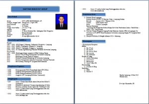 Contoh Format CV Lamaran kerja