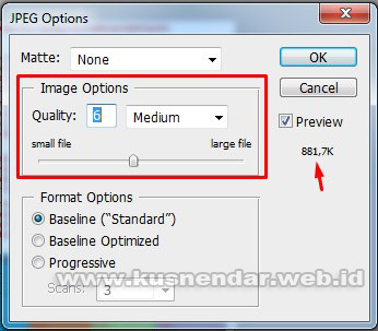 JPEG Option Photoshop