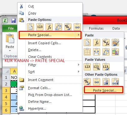 Paste Special Formula Excel