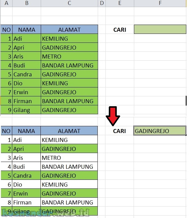 data search box excel