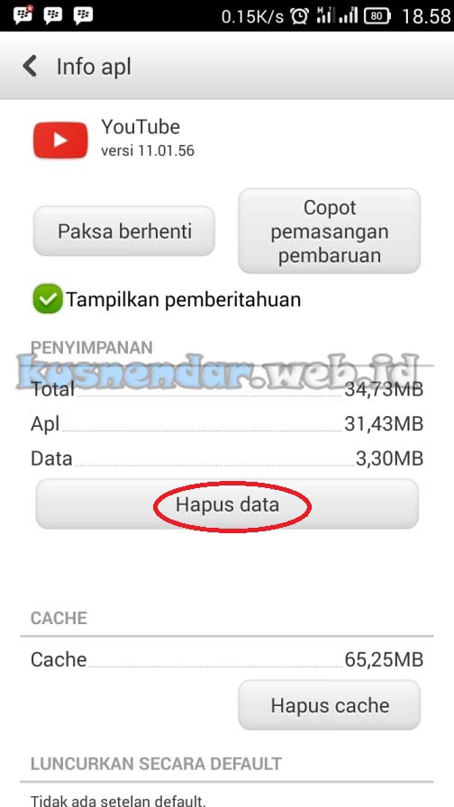 Clear Data APlikasi YouTube