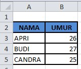 satuhan tahun excel