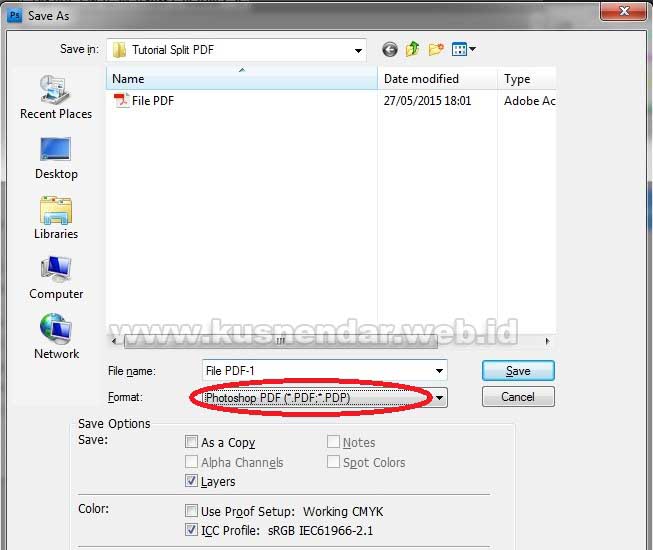 Save as File PDF