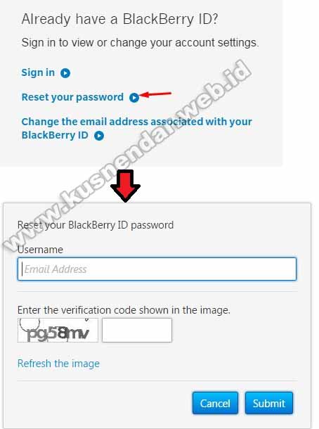 Reset Password BBM ID