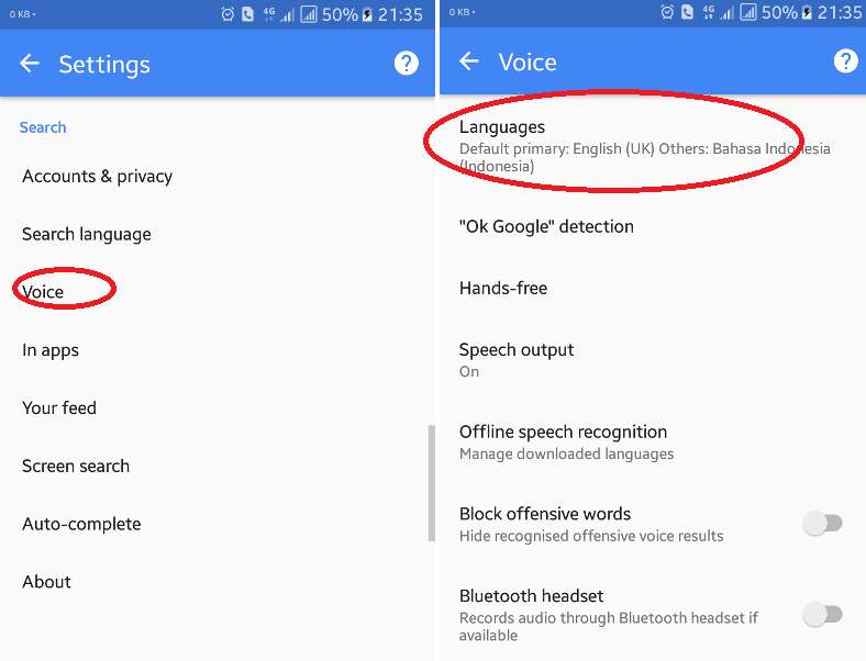 setting-google-voice-now