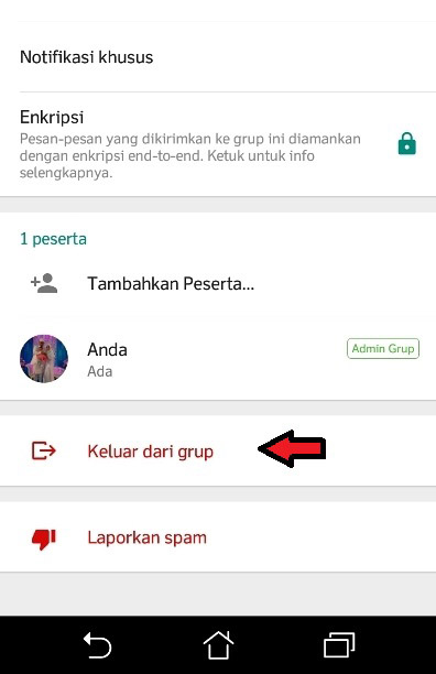 Cara Keluar Dari Grup Whatsapp Yang Kita Buat